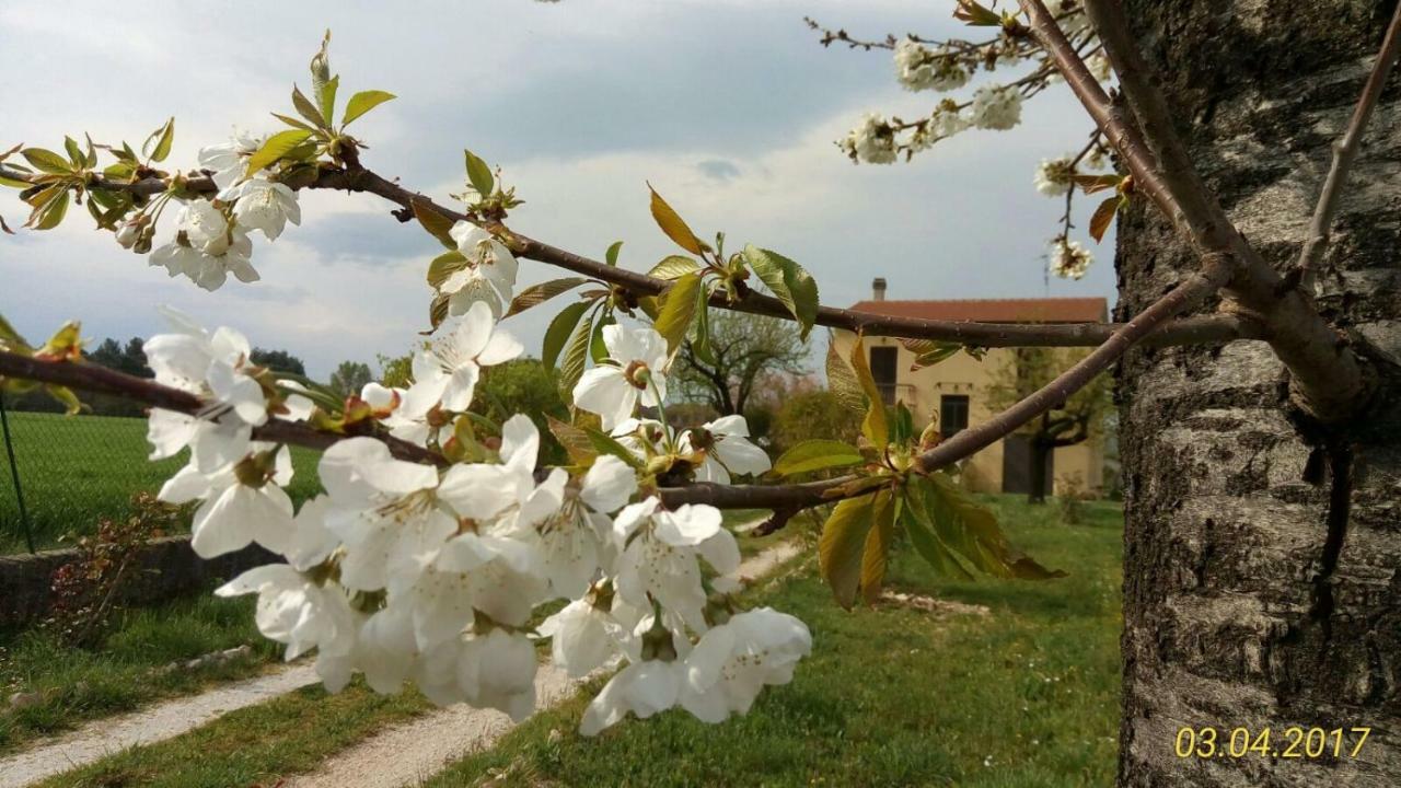 B&B Fior Fiore Spello Exterior foto